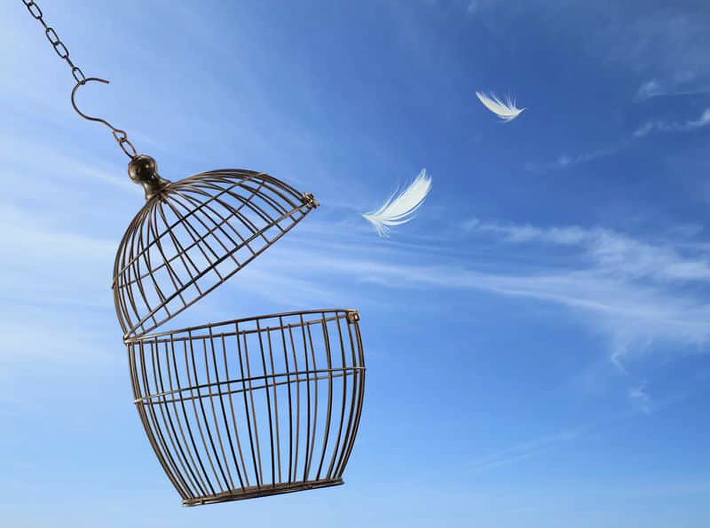 Cage ouverte et plumes dans un ciel bleu, symbole de liberté